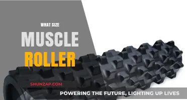 Best Muscle Roller Size: Choosing the Right Fit for Your Needs