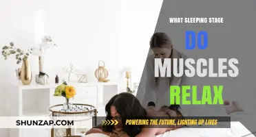 Muscle Relaxation During Sleep: Uncovering the Key Stage for Recovery