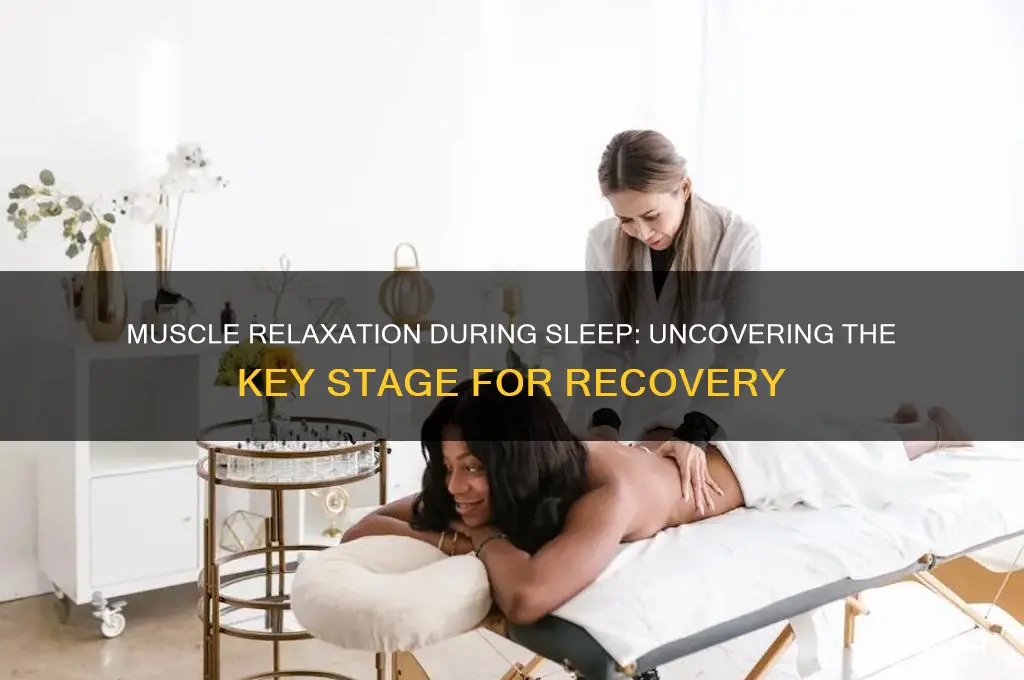 what sleeping stage do muscles relax