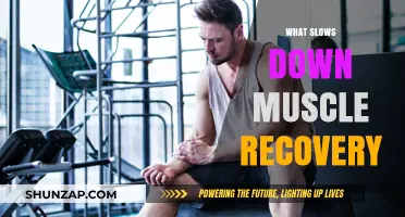 Muscle Recovery: What Factors Slow It Down?
