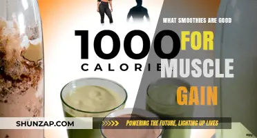 Best Muscle-Building Smoothies: Fuel Your Gains with These Recipes