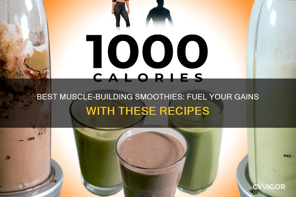 what smoothies are good for muscle gain