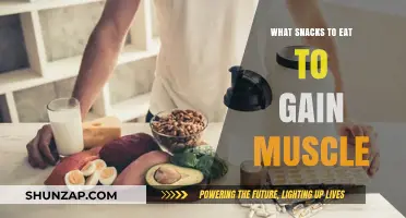 Muscle-Building Snacks: Fuel Your Gains with These Protein-Packed Bites