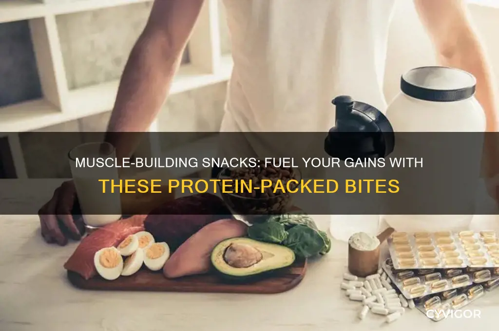 what snacks to eat to gain muscle