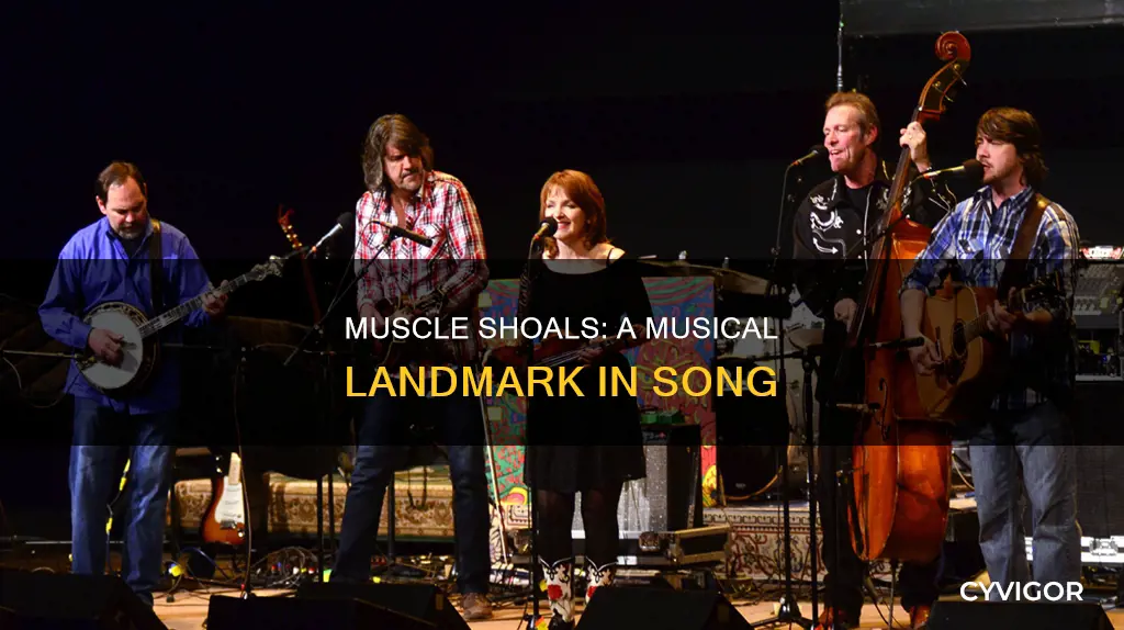 what song mentions muscle shoals