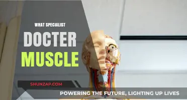 Muscle Health: Specialist Doctors to Consult