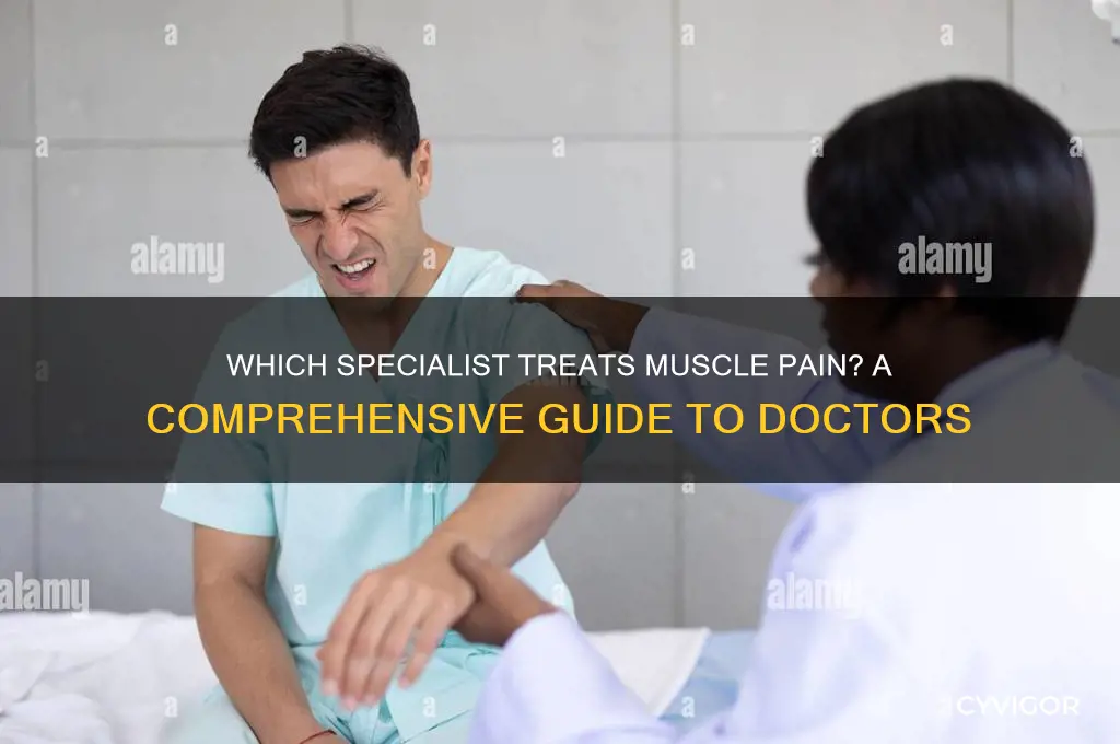Which Specialist Treats Muscle Pain? A Comprehensive Guide To Doctors ...