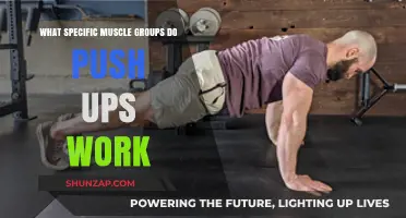 Push Ups: Targeted Muscle Groups for Strength and Tone