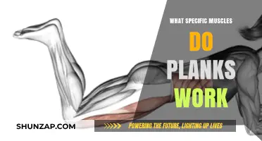 Plank Power: Unlocking Core, Shoulder, and Glute Muscles in One Move