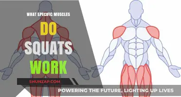 Squats: Targeting Quads, Glutes, Hamstrings, and Core Muscles Effectively