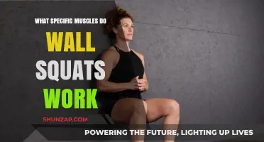 Wall Squats: Targeted Muscles for Strength and Stability Explained
