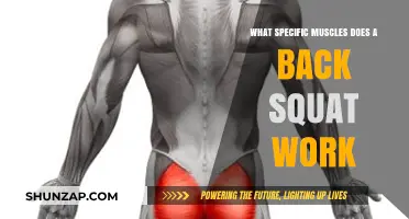 Back Squat Muscles: Targeted Strength Training for Lower Body Power