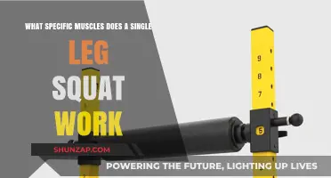 Single Leg Squat Muscles: Targeted Strength Training Benefits Explained