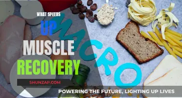 Speeding Up Muscle Recovery: Best Strategies and Techniques