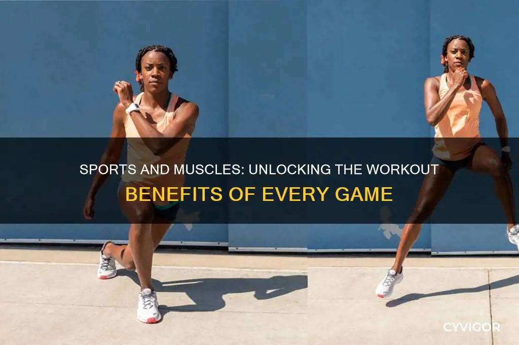 what sports work what muscles
