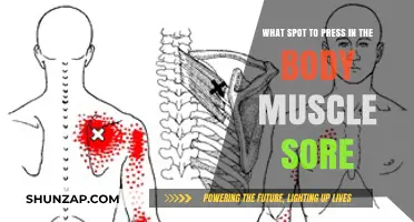 Relieve Muscle Soreness: Key Pressure Points for Instant Pain Relief