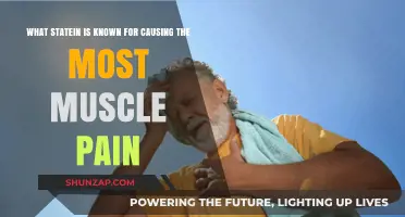 Which State's Climate Causes the Most Muscle Pain? Find Out