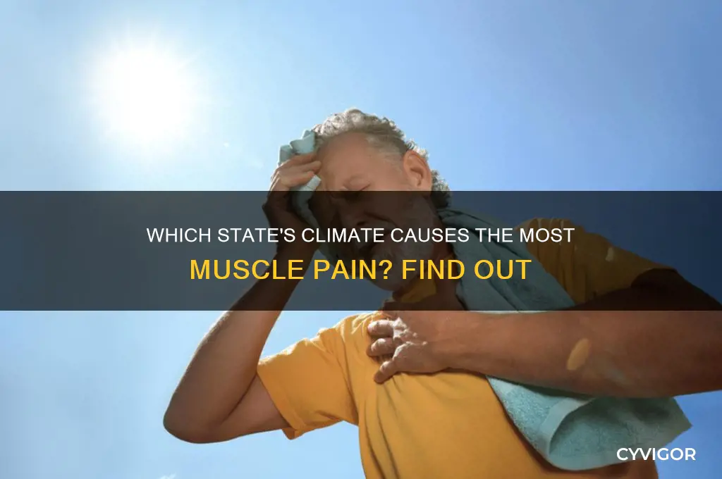 what statein is known for causing the most muscle pain