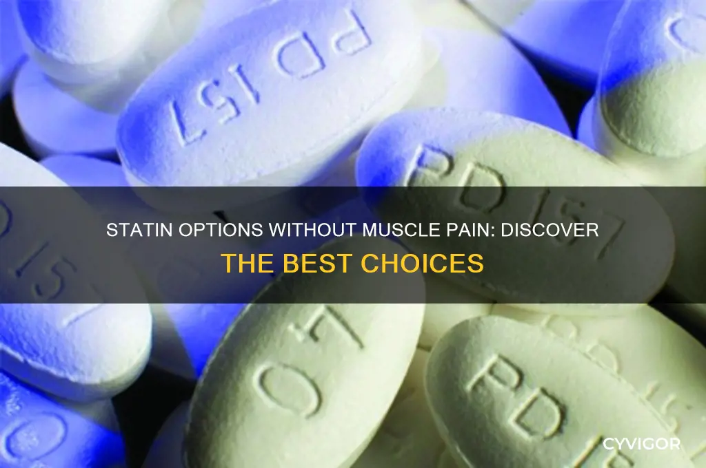 what statin does not cause muscle aches