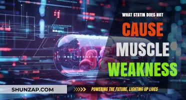 Statin Options Without Muscle Weakness: A Comprehensive Guide