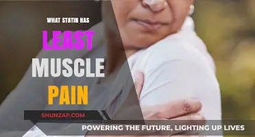Which Statin Causes the Least Muscle Pain? A Comprehensive Guide