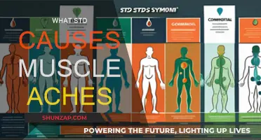 Muscle Aches and STDs: What's the Connection?