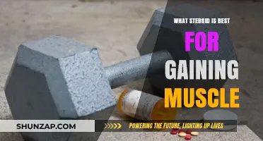 Top Steroid Choices for Effective Muscle Gain and Growth