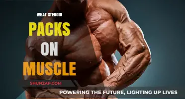 Muscle-Building Steroids: What You Need to Know