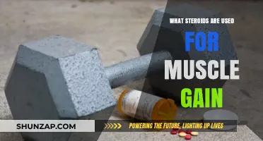 Effective Steroids for Muscle Gain: Types, Benefits, and Risks Explained