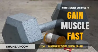Effective Steroids for Rapid Muscle Gain: Safe Options and Tips