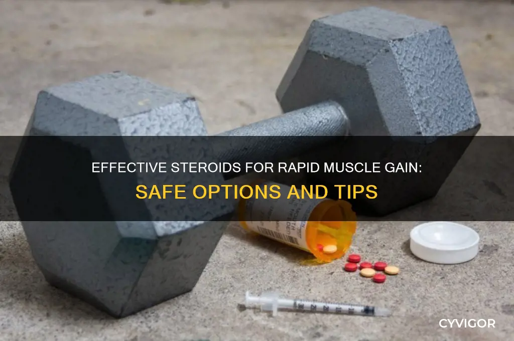 what steroids can i use to gain muscle fast