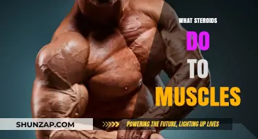 Steroids: How They Impact Muscle Growth and Performance