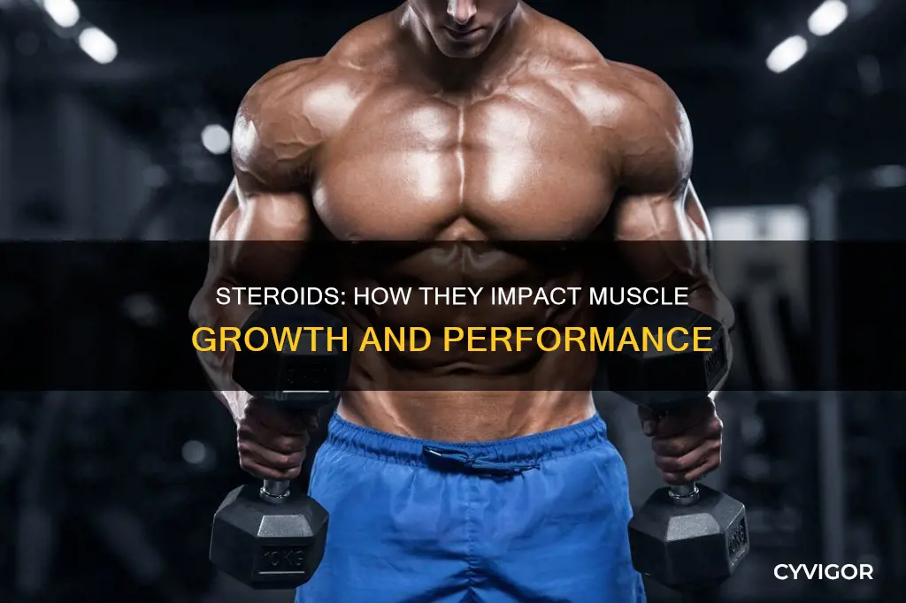 what steroids do to muscles