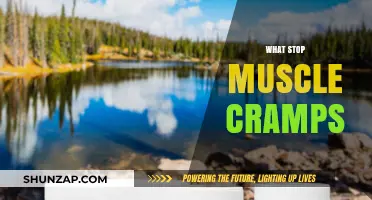 Effective Remedies to Prevent and Relieve Muscle Cramps