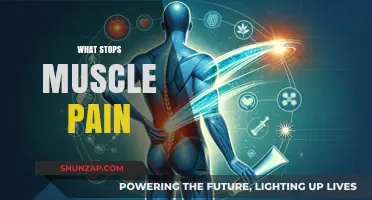 Effective Strategies to Relieve and Prevent Muscle Pain Naturally