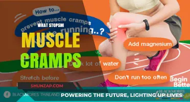 Cramp No More: Effective Remedies to Stop Muscle Cramps