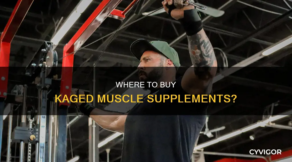 what stores carry kaged muscle