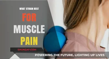 Top Cannabis Strains for Effective Muscle Pain Relief and Relaxation