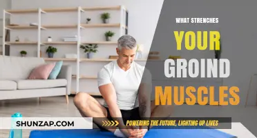 Exercises to Strengthen Your Groin Muscles
