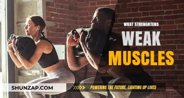 How to Strengthen Weak Muscles: Effective Strategies