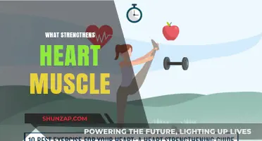 Heart Muscle Strength: The Role of Exercise and Diet