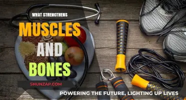 Building Muscle and Bone Strength: The Ultimate Guide