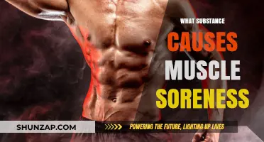 Unraveling Muscle Soreness: The Role of Lactic Acid Explained