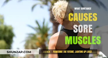 Unraveling the Mystery: What Substance Causes Sore Muscles After Exercise?