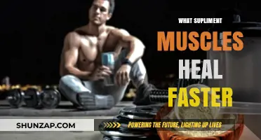 Healing Muscles: Supplements for Faster Recovery