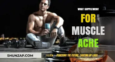 Supplements to Ease Muscle Aches and Pains