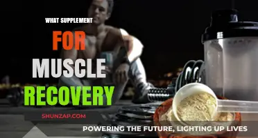 Muscle Recovery: Best Supplements to Speed Up Results