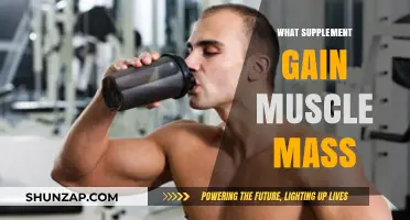Top Muscle-Building Supplements for Effective Mass Gain Strategies