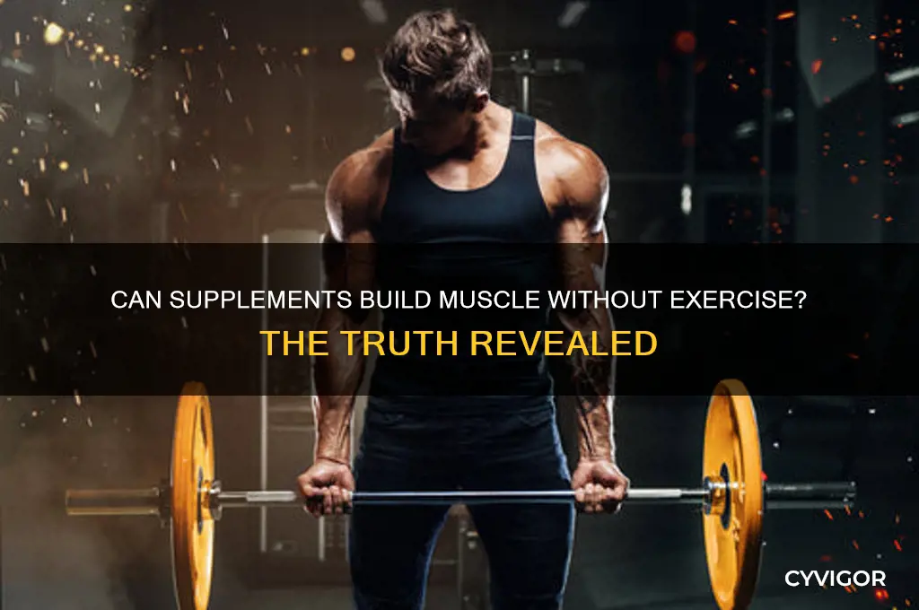 what supplement gains muscle without working out