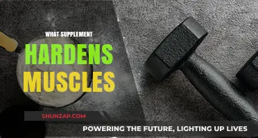 Supplements to Harden Muscles: The Ultimate Guide